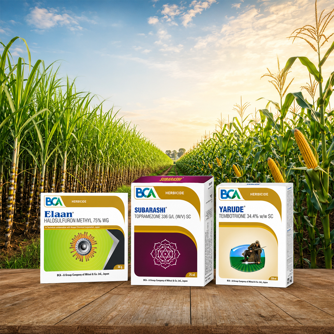 Smart Weed Control for Sugarcane & Maize